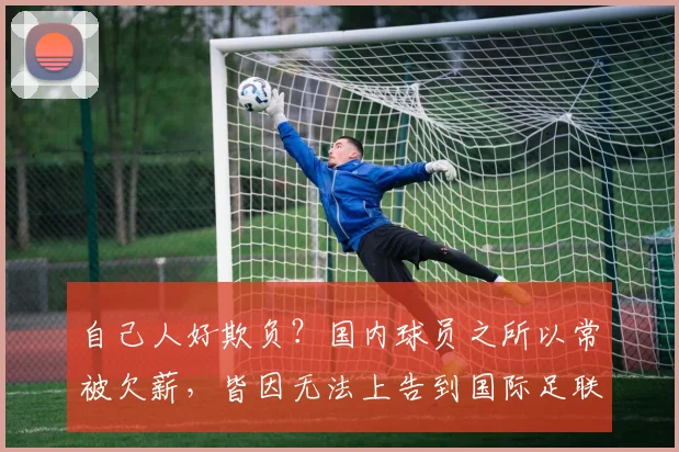自己人好欺负？国内球员之所以常被欠薪，皆因无法上告到国际足联