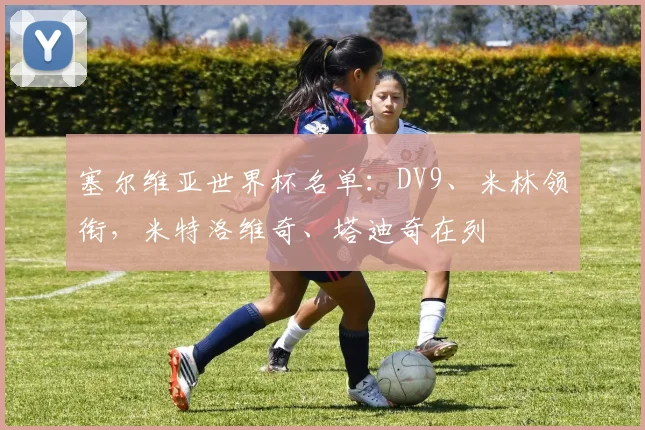 塞尔维亚世界杯名单：DV9、米林领衔，米特洛维奇、塔迪奇在列