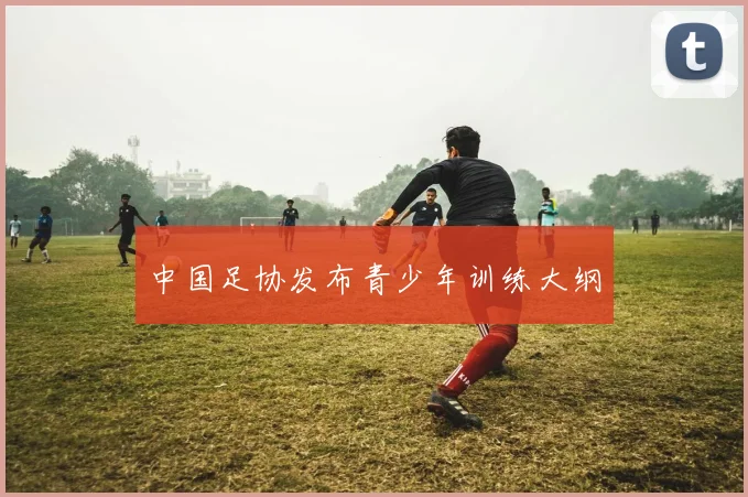 中国足协发布青少年训练大纲