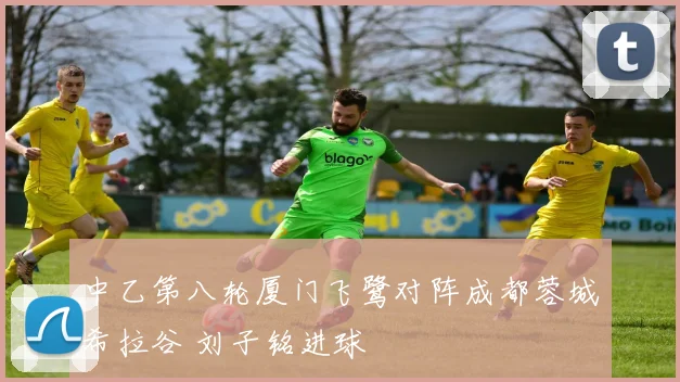 中乙第八轮厦门飞鹭对阵成都蓉城希拉谷 刘子铭进球